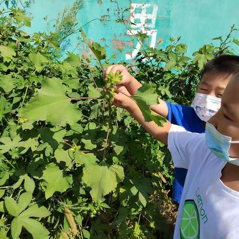 联一小学“双减”政策下减负增效的课堂教学案例一则