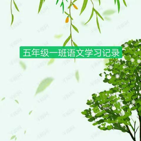 五年级一班语文学习汇报