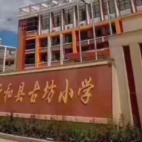 评估促发展 砥砺再前行丨云和县古坊小学迎来“省现代化学校”创建现场评估