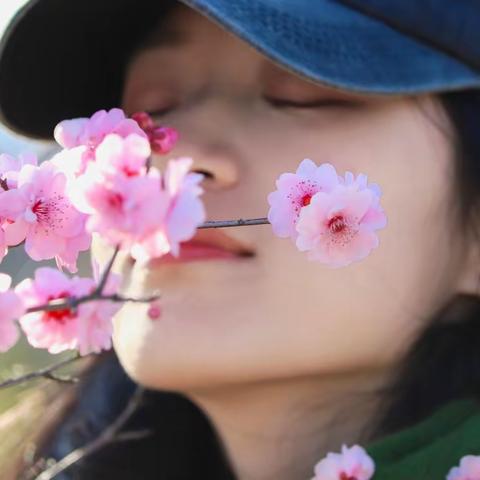 春暖花开🌸梅李争俏