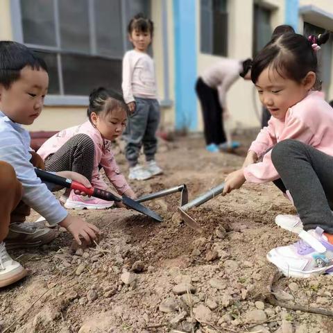 你好，春天！——中二班种植活动