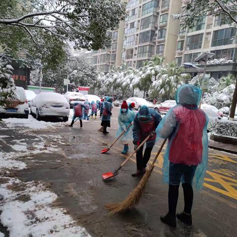 “雪中见文明”网格义务除雪行动中