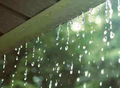 《昆明的雨》课堂写作练习