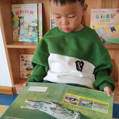 泊头镇中心幼儿园～中二班一周精彩时刻🌻