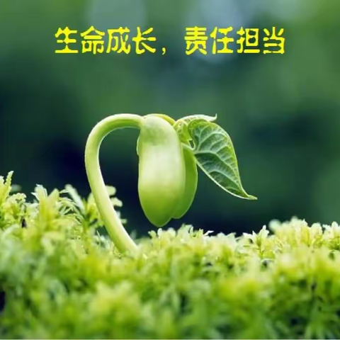 家庭教育指导师第六期班委会