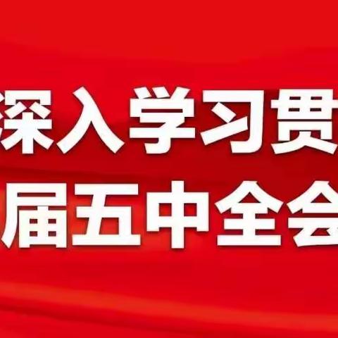 玲中党支部深入贯彻学习党的十九届五中全会精神