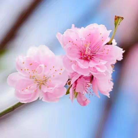 【笑魇如花   不减芳华】——县公用事业服务中心开展“三八”妇女节庆祝活动