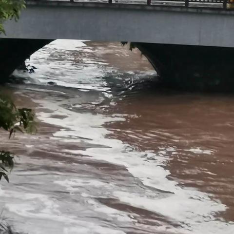 效益是与科技含量有密切相关的，把住时机错过了又是一年白干