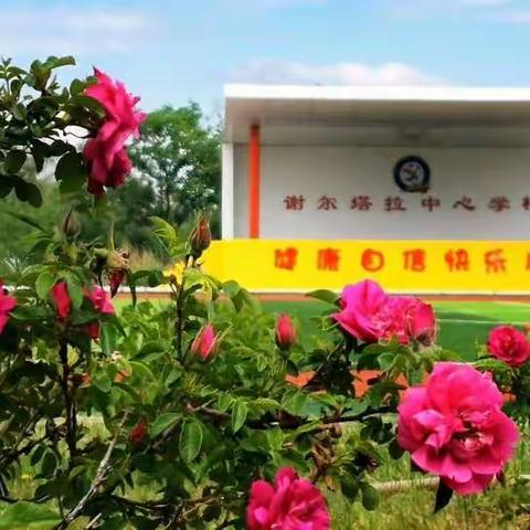 2020年端午节致家长的一封信