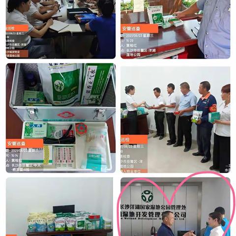 洋湖湿地六月工作简报