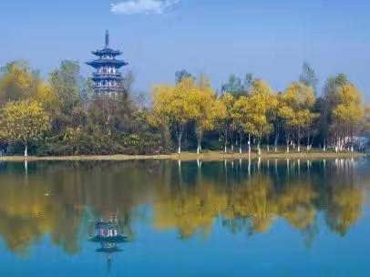 洋湖湿地公园管理处十月工作汇报
