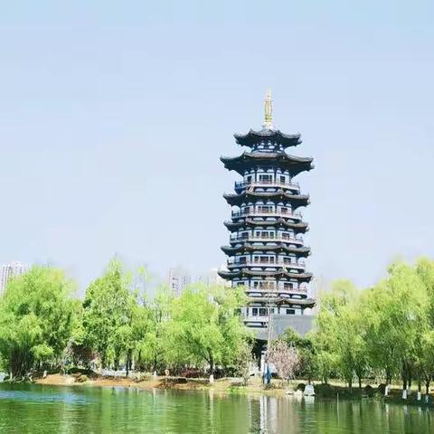 洋湖湿地项目三月工作简报
