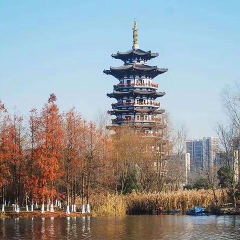 洋湖湿地公园十一月工作简报