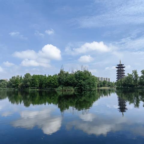 洋湖湿地公园项目管理处五月工作简报