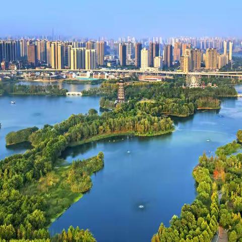 洋湖湿地公园管理处七月工作简报