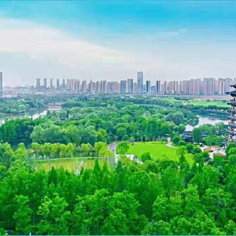 洋湖湿地公园管理处九月工作简报