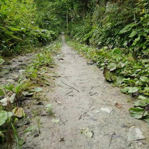 走访排查“回头看”  不忘初心向前行