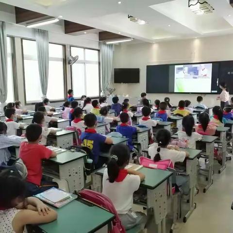 绿杨荫里话教学，三尺讲台共成长