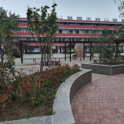 濮阳市教育局来徐镇第一小学检查验收‘生态文明校园’