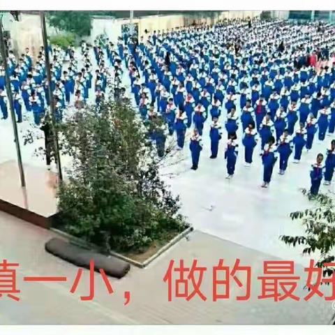 停课不停学    成长不停歇——徐镇第一小学关于启动线上教学致学生家长书