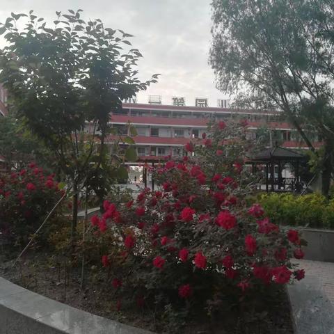 创建生态校园 优化育人环境____濮阳县徐镇第一小学创建市级生态文明校园纪实