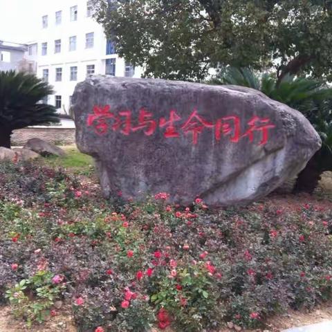 七彩童年 快乐成长季                        2016学年拓展性课程展示之一