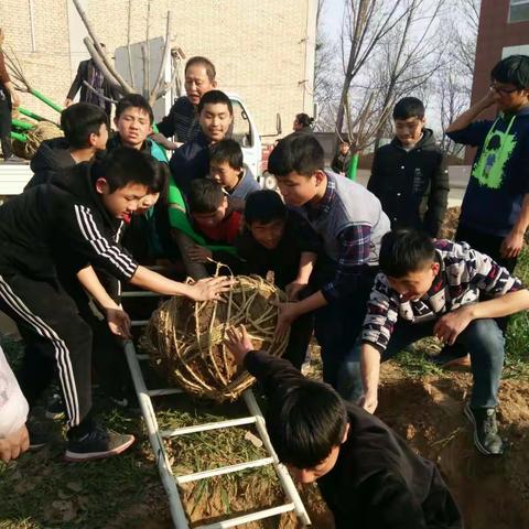 "绿色春天，植树校园"__记冯村初中植树活动