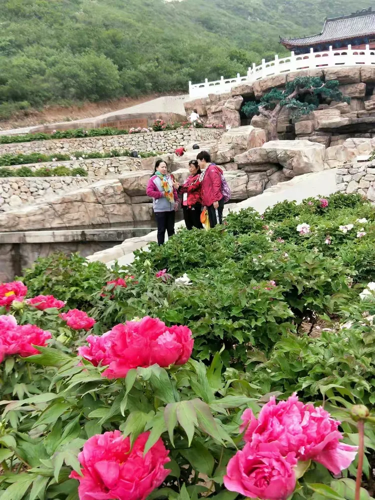 大美天秀山 缤纷牡丹园