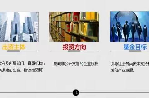 政府引导基金概述