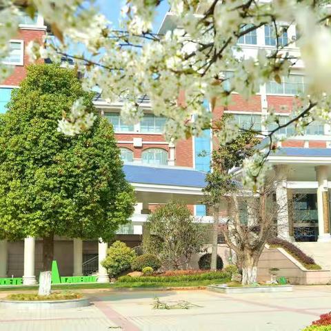 枣庄市实验学校线上教学期间六年级学生学习生活指导