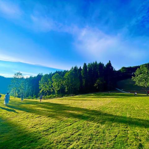 建始的“呼伦贝尔大草原”-渣树坪高山草场