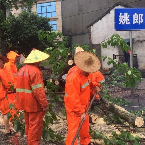 暴雨来袭，兰溪公路部门迅速出动保畅通！