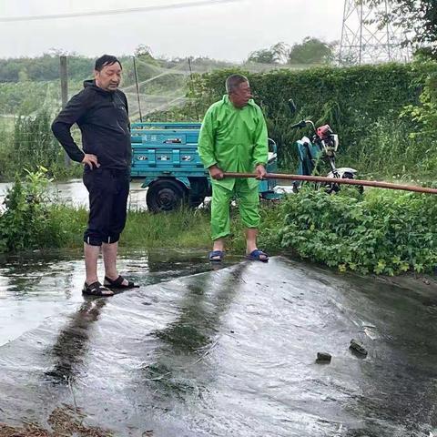 一线直击：暴雨下的胜利社区