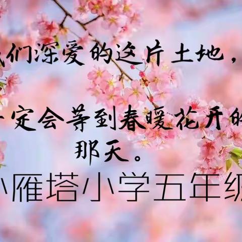 【碑林教育】春天如约，初心不改——碑林区小雁塔小学五语组教学工作纪实