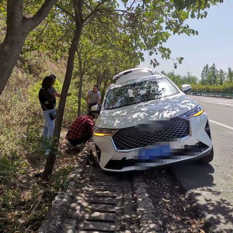 鲁山路上行路舛