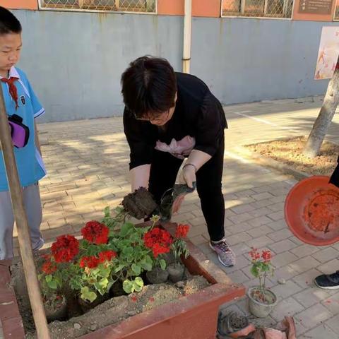 【关爱学生幸福成长】峰峰矿区和东小学师生种花活动