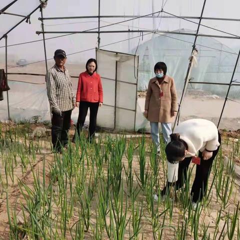 春风吹拂农事兴  科技助力稳粮安