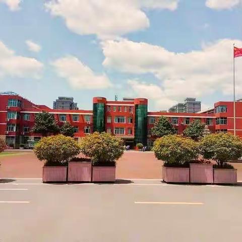 模拟讲课，互促成长——佛山中学数学组举行教研活动