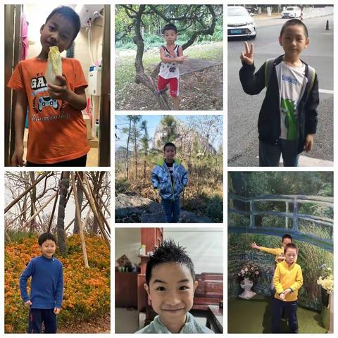 奥利给队，蔬菜总动员