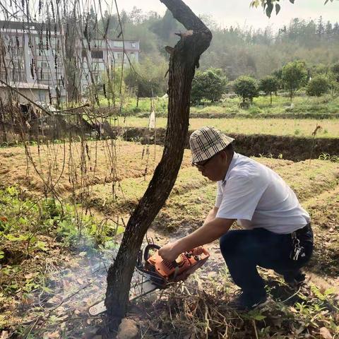 劳动最光荣——扎实抓好劳动教育，打造劳动教育特色基地。