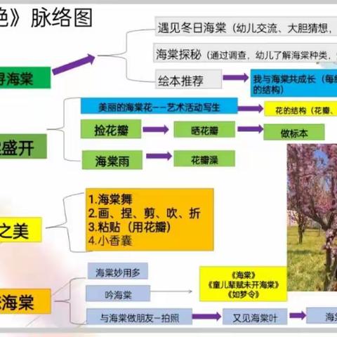 中二班班本课程“满棠争艳”实记