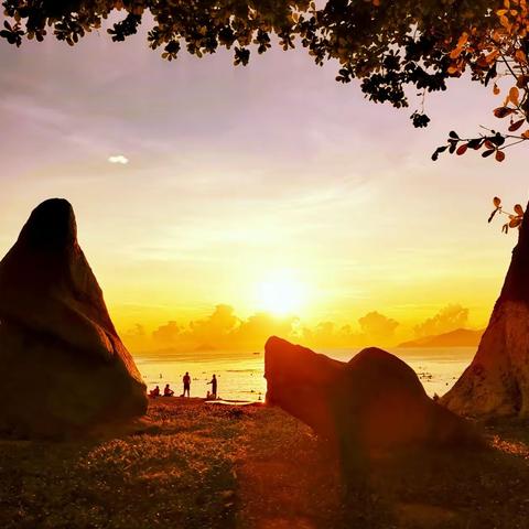 去芽庄看景（一）
