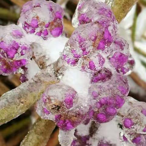 2018第一场雪，约起来吧！去踏雪啰！