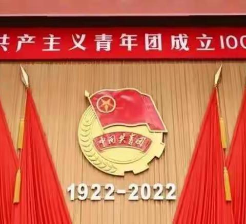 庆祝中国共青团成立100周年