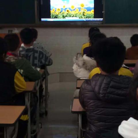 【保护眼睛，预防近视】东湖小学六一中队开展预防近视主题活动