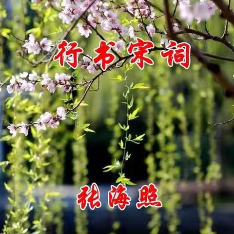 我练习的行书宋词