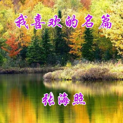 我喜欢的名篇