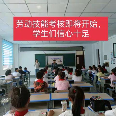 上南小学校劳动技能考核