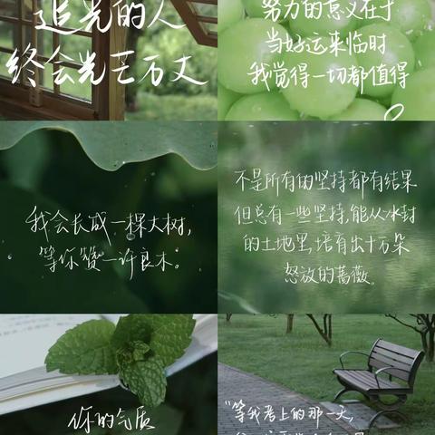 若心有所向，平凡的日子也会泛着光