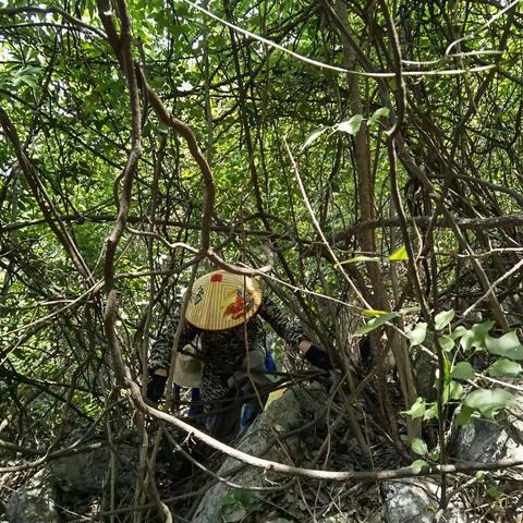 圣水泉古寺四位出家师向樟树堂出发探险